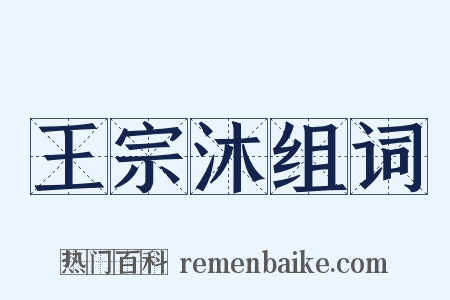 王宗沐组词是什么意思的图片